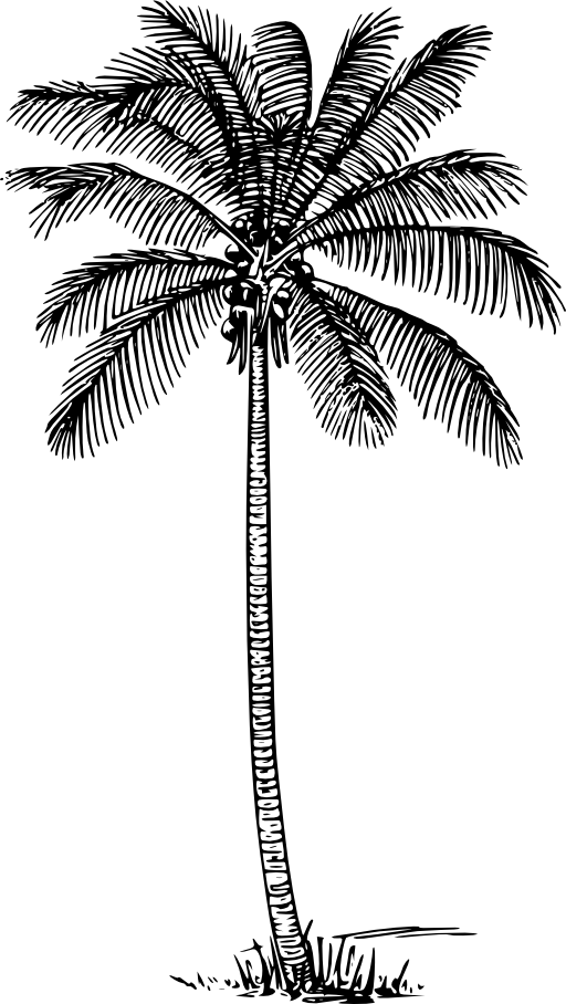 رسم شعار نخلة