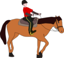 Horse Riding Lesson