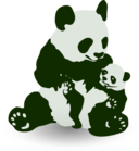 Panda Baby Panda