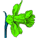 download Daffodil clipart image with 45 hue color