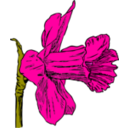 download Daffodil clipart image with 270 hue color