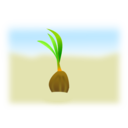 download Coconut Seed clipart image with 0 hue color