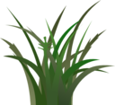 Dark Grass