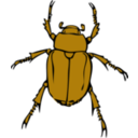 download Chafer Bug clipart image with 0 hue color