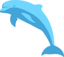 Delphin Delfin Dolphin