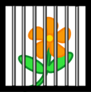 Flower Behind Bars