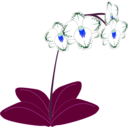 download Orchid clipart image with 180 hue color