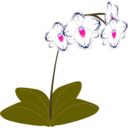 download Orchid clipart image with 270 hue color