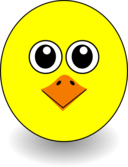 Funny Chick Face Cartoon