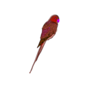 download Parrot clipart image with 270 hue color