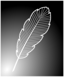 Feather