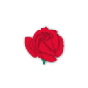 download Red Rose clipart image with 0 hue color