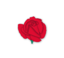 Red Rose