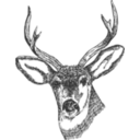 download Deer Head clipart image with 0 hue color
