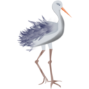 download Bird With Legs clipart image with 0 hue color