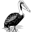 download Pelican clipart image with 0 hue color