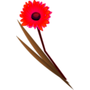 download Flowers Gerbera clipart image with 315 hue color