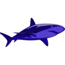 download Shark Pure clipart image with 45 hue color