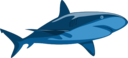 Shark Pure