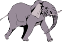 Architetto Elefante In Corsa