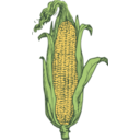 download Ear Of Corn Colored clipart image with 0 hue color