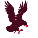 download Aguila clipart image with 315 hue color