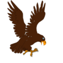 download Aguila clipart image with 0 hue color