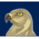 download Hawk clipart image with 0 hue color