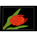 download Tulip3 clipart image with 0 hue color