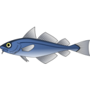 download Codfish clipart image with 0 hue color