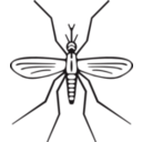 download Mosquito clipart image with 45 hue color