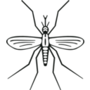 download Mosquito clipart image with 225 hue color