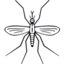 download Mosquito clipart image with 315 hue color