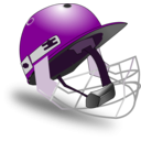 download Cricket Helmet By Netalloy clipart image with 90 hue color