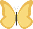 Butterfly1