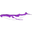 download Humpback Whale clipart image with 90 hue color