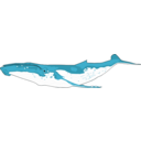 download Humpback Whale clipart image with 0 hue color