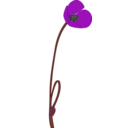 download Papaver clipart image with 270 hue color