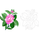 download Design For Damask Rose clipart image with 0 hue color