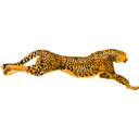 download Leopard Cheetah clipart image with 0 hue color