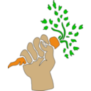 download Hand Holding Carrot clipart image with 0 hue color