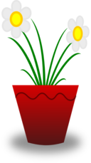 Flower Pot