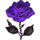 download Rose clipart image with 270 hue color