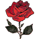 download Rose clipart image with 0 hue color