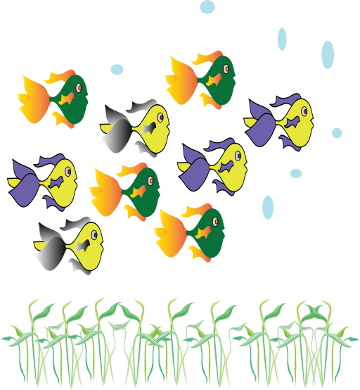 Fish Fleet