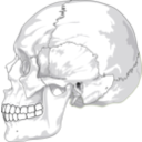 download Human Skull Side View clipart image with 45 hue color