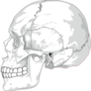 download Human Skull Side View clipart image with 315 hue color