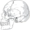 download Human Skull Side View clipart image with 0 hue color