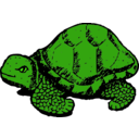 download Tortoise clipart image with 45 hue color