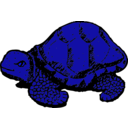 download Tortoise clipart image with 180 hue color